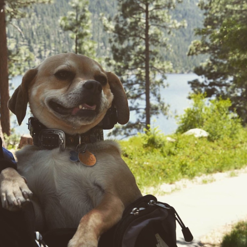 Meet your Posher, Claire